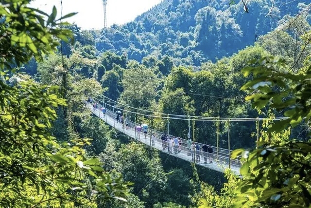 【旅行推荐】广西柳州双龙沟原始森林精