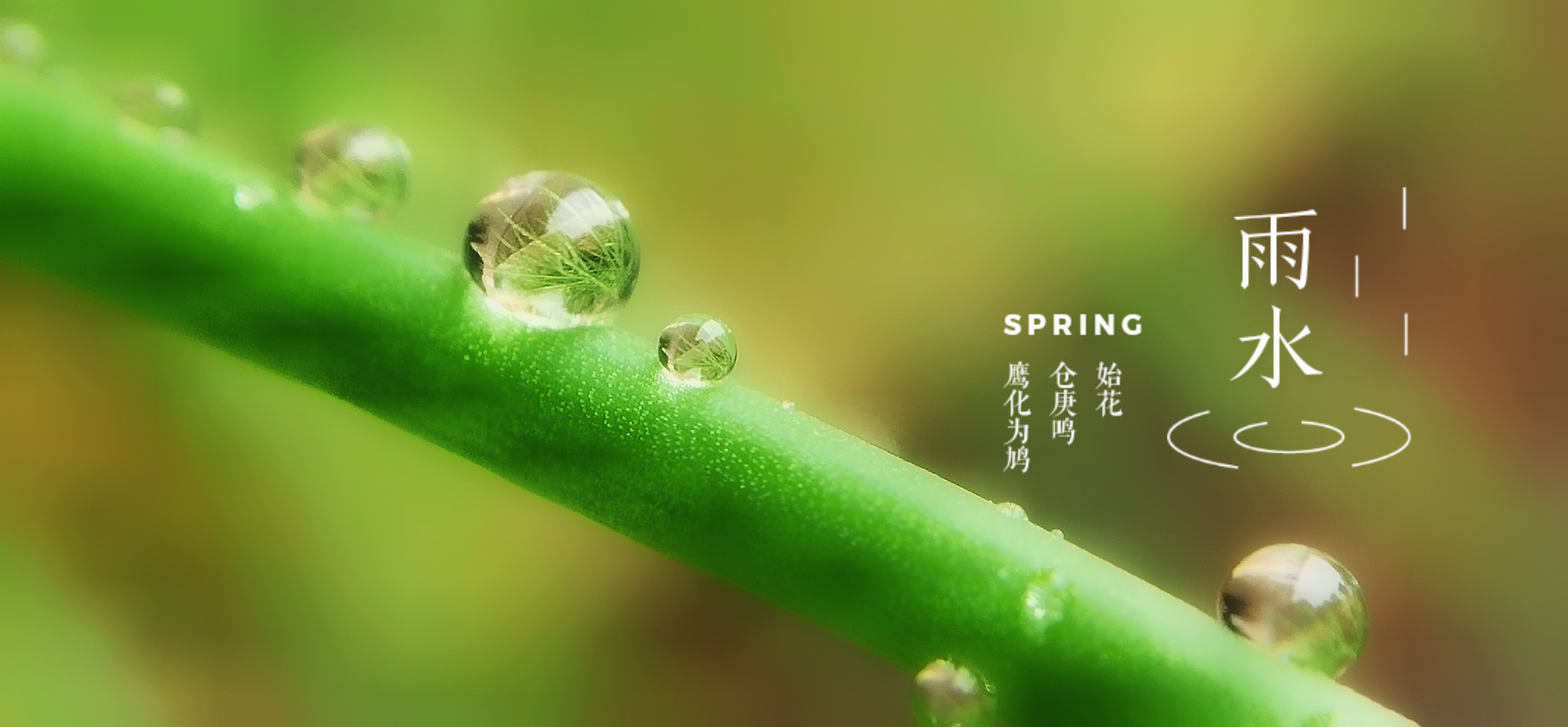 【x23样张】雨水