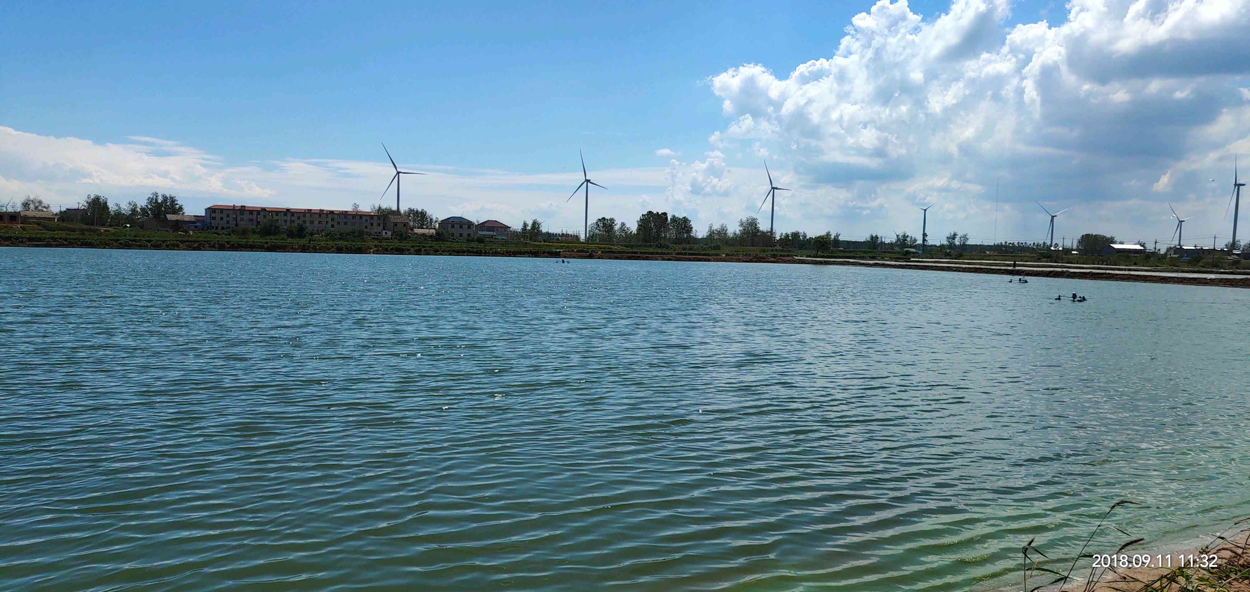 鱼塘风光 - vivo官方社区