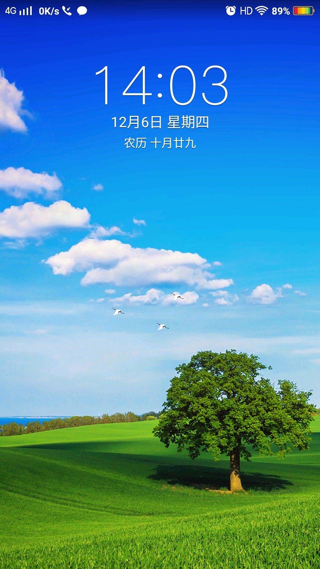 vivo主题秀闲云野鹤