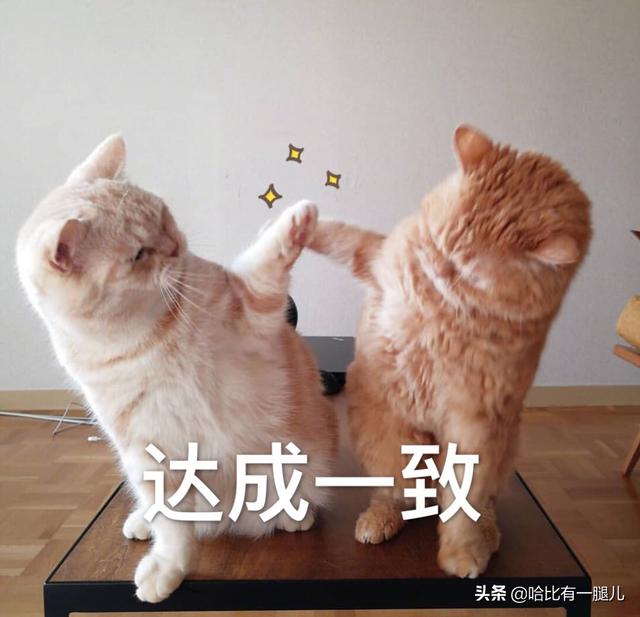 早上好 - vivo官方社区