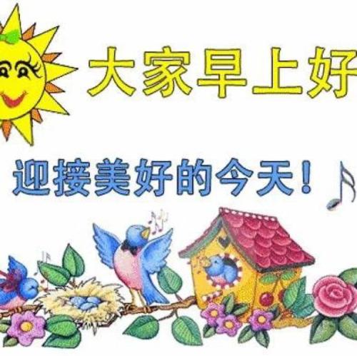 大家早上好 - vivo官方社区