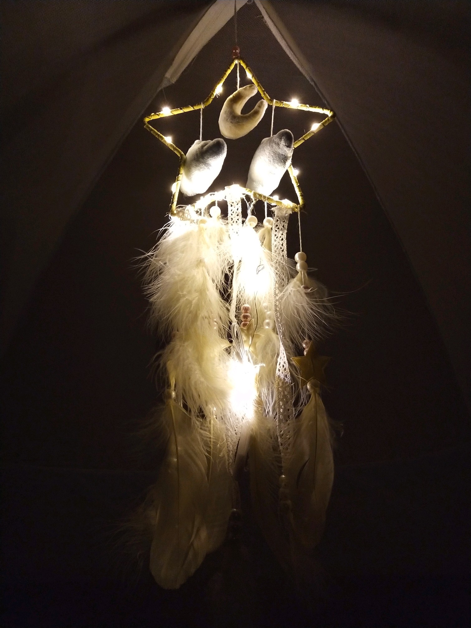 晚上的捕梦网真美