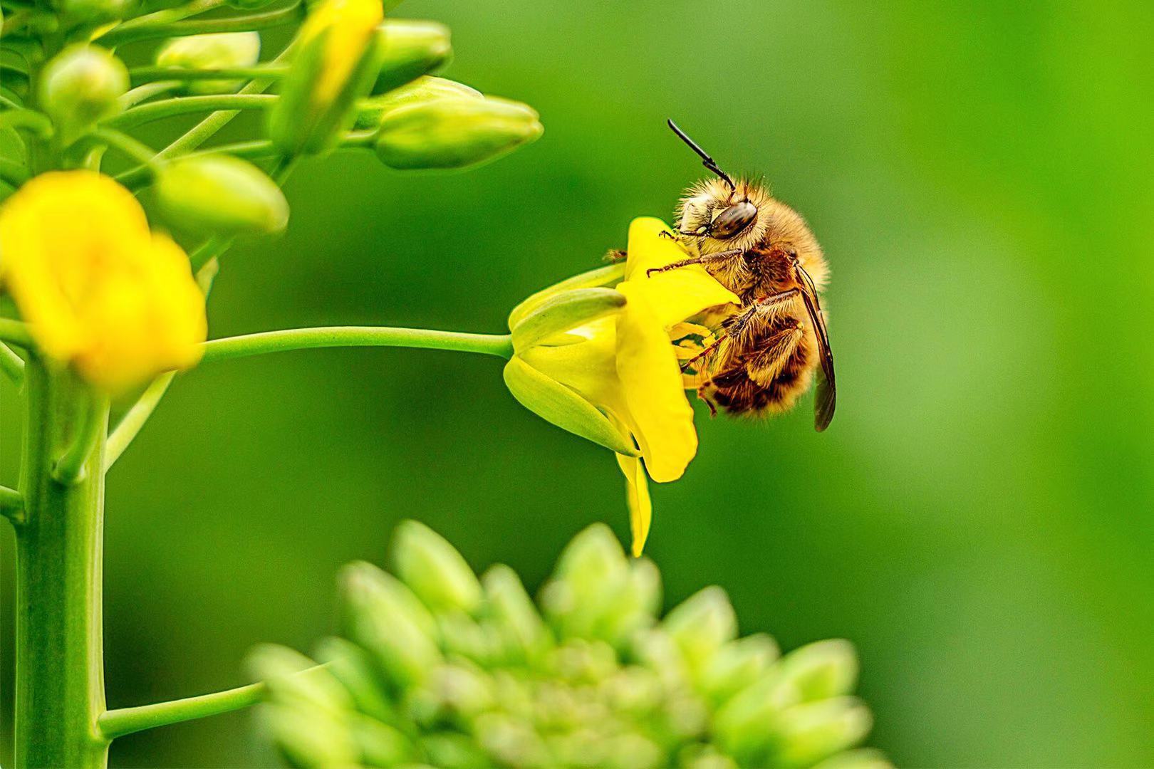 2-25 每日祝福 - vivo官方社区