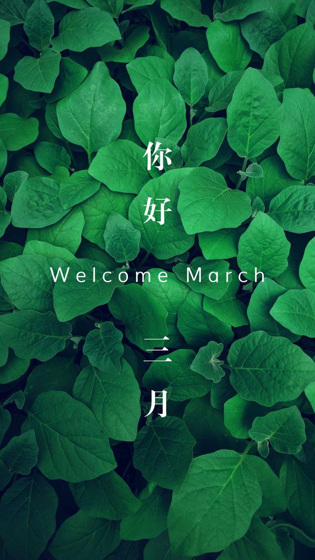 壁纸分享你好三月