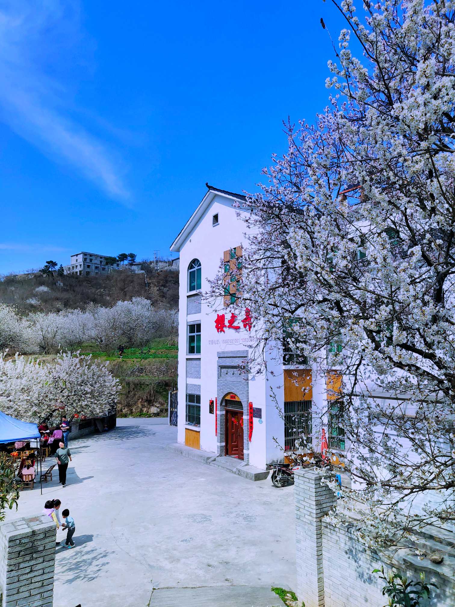 【寻春】醉美郧阳樱桃沟