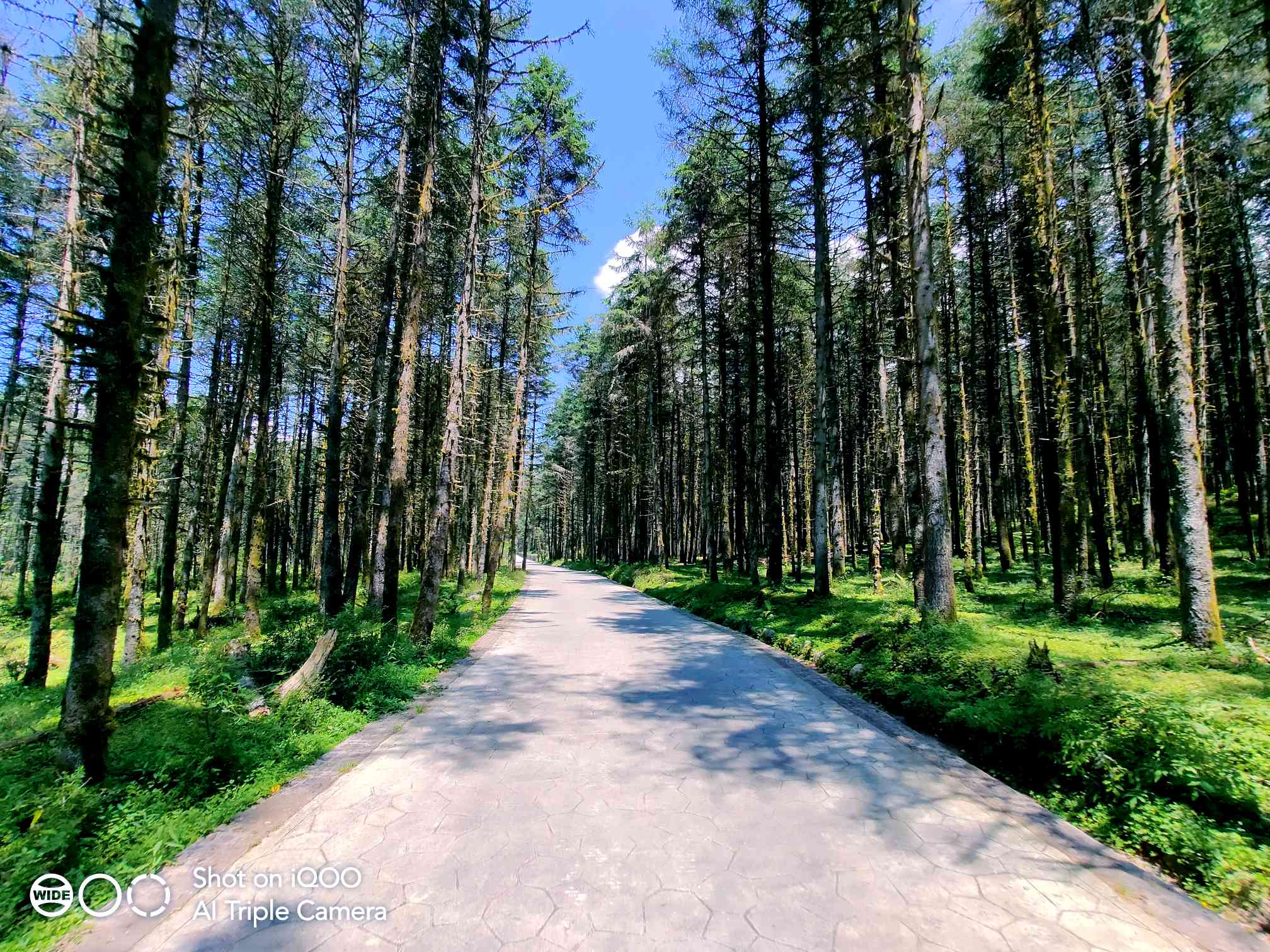 8月签到来孟获城感受一下原始森林