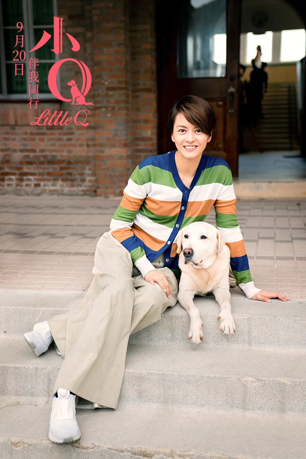 影视推荐——年度最暖心的电影《小q》—人类最好的伙伴导盲犬的故事!