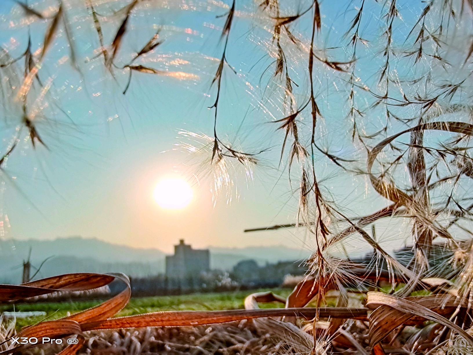 腊月暖阳如春日,陌上芦苇飞来往. 原野上是一片唯美的风光