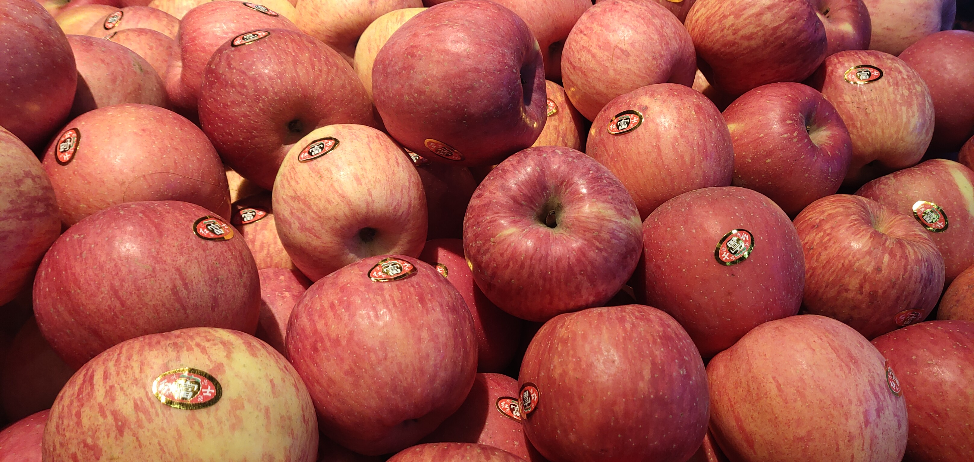 一月的美丽瞬间#水果 - vivo官方社区