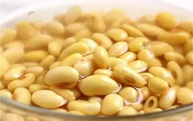 煮豆浆时,到底要不要泡豆?很多人做错,难怪豆浆不香,口感差 - vivo官