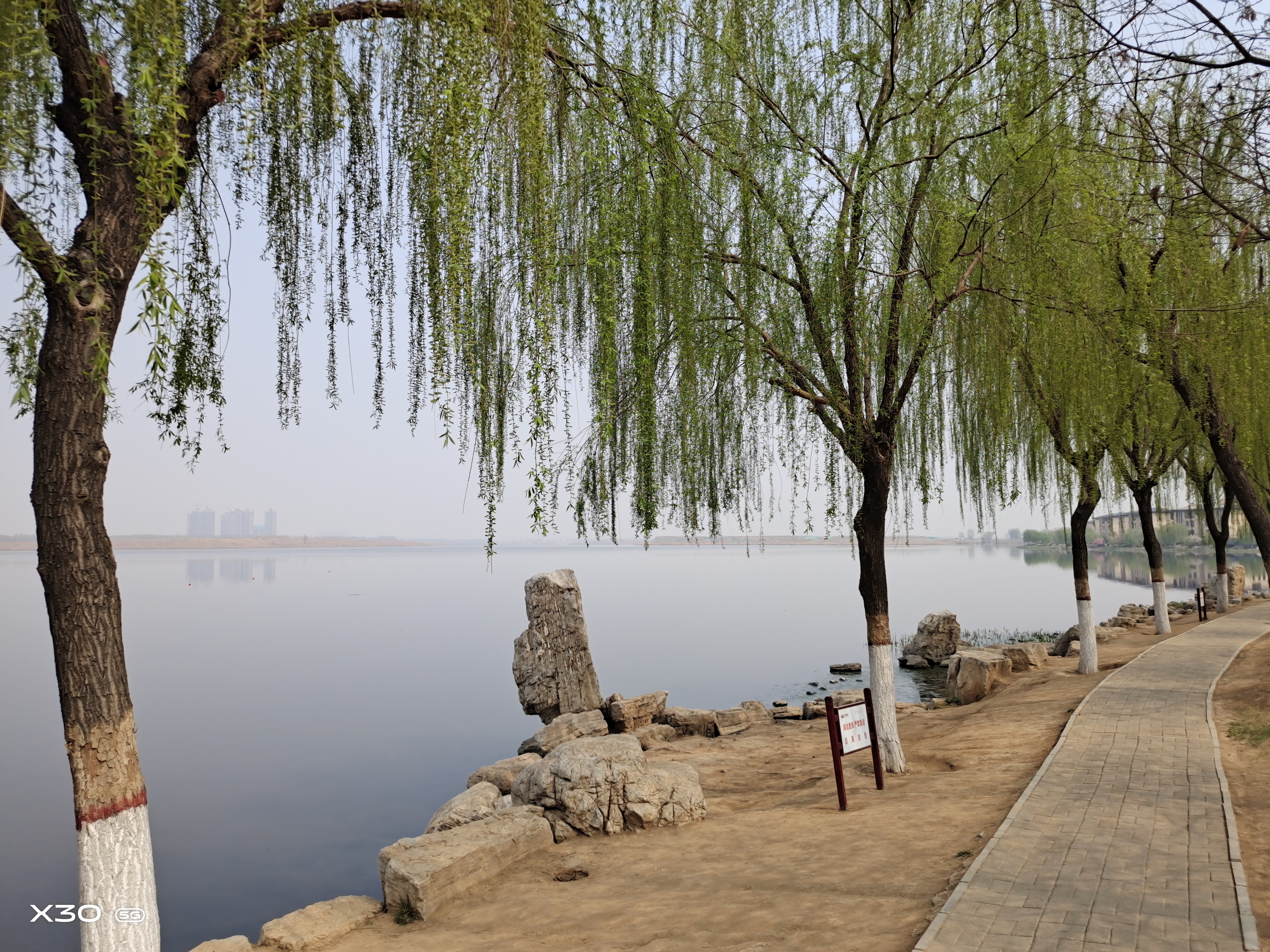 草长莺飞二月天,拂堤杨柳醉春烟