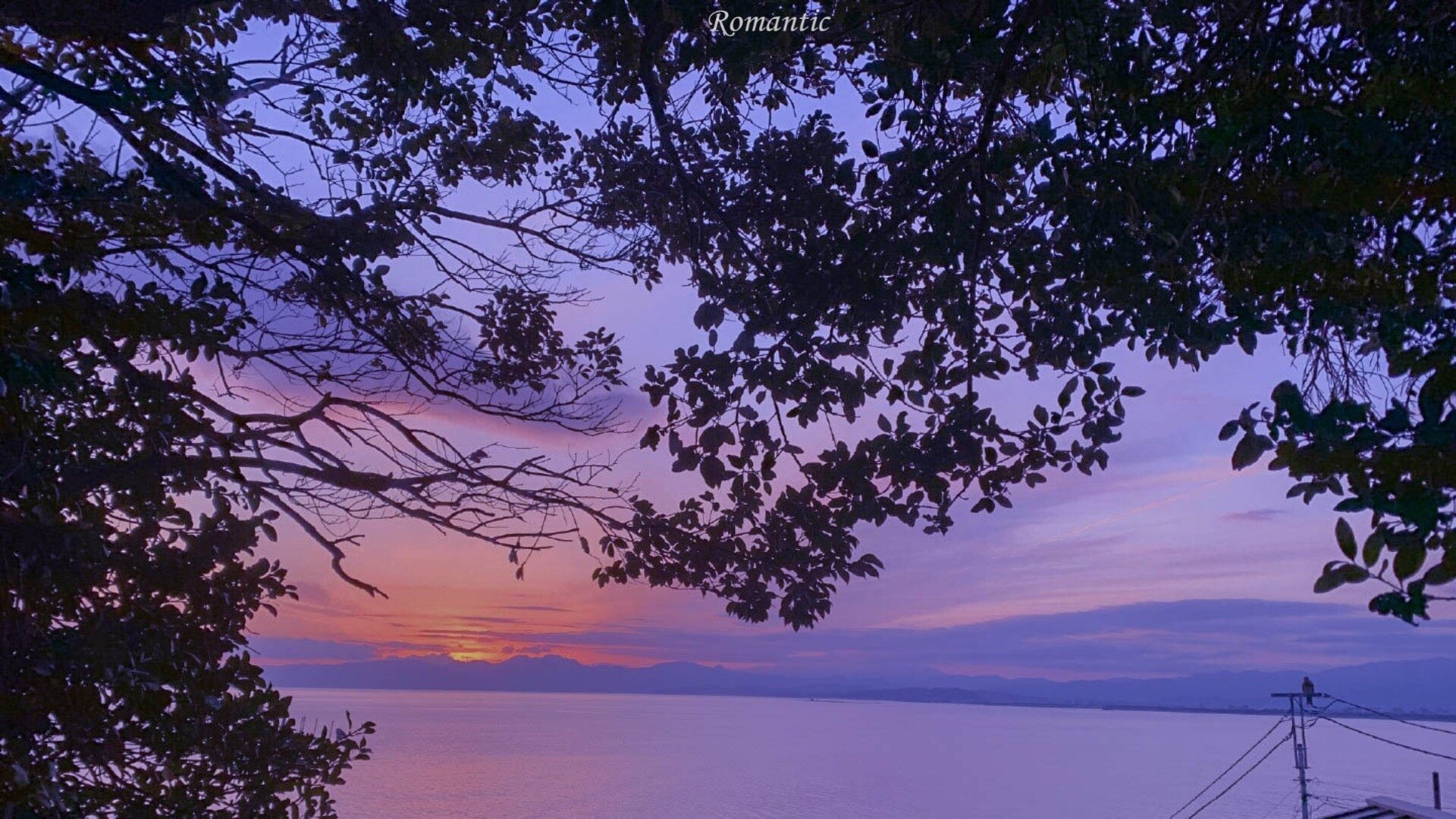 【背景图】紫色系背景图,唯美 - vivo官方社区