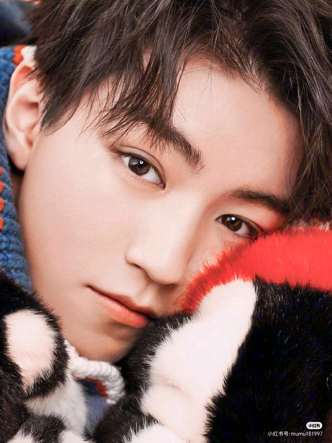 王俊凯.好帅好帅好帅! - vivo官方社区