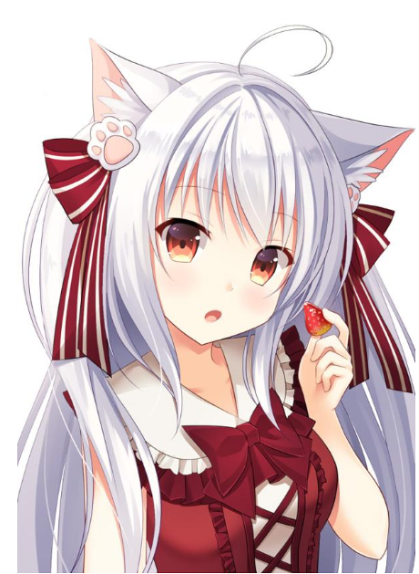 精选高清壁纸可爱萌萌哒兽耳娘二次元动漫