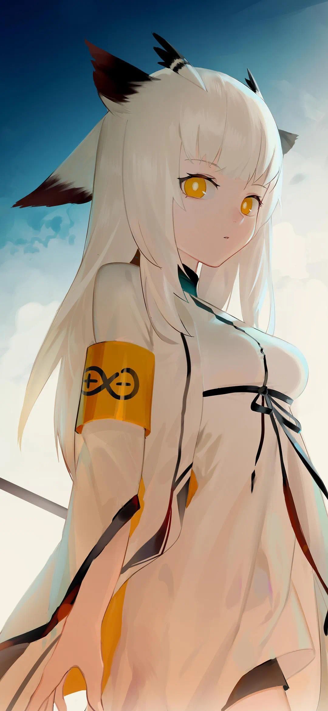 求壁纸 - vivo官方社区