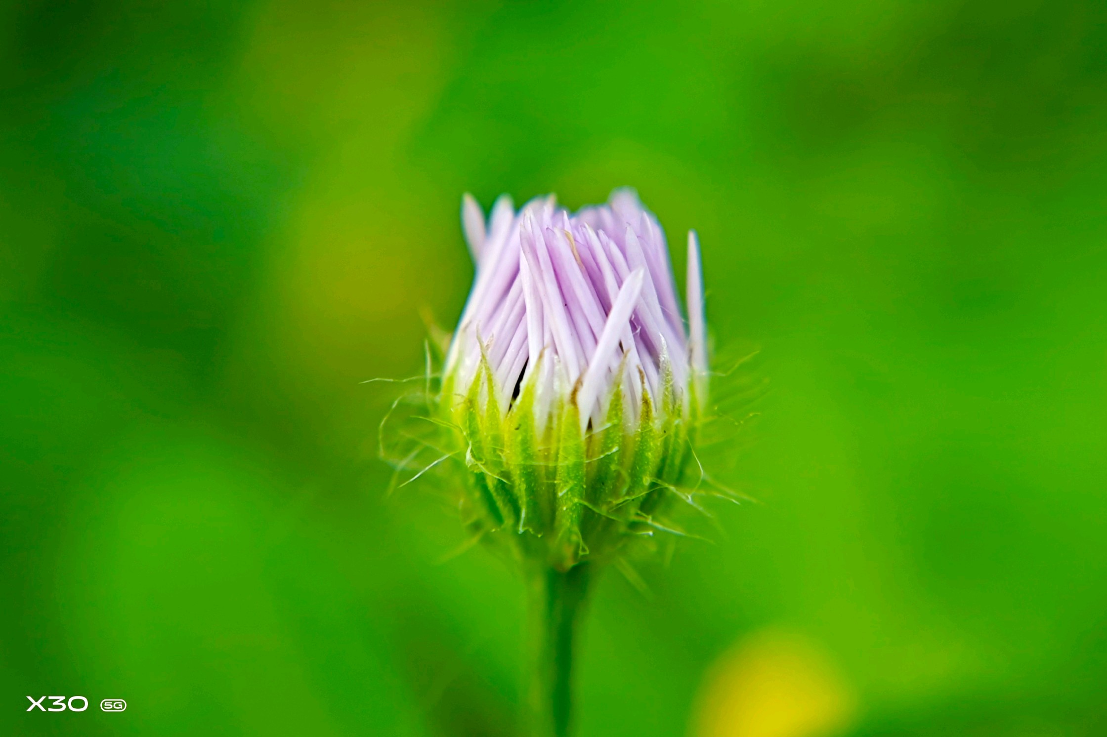 【x30】小清新 - vivo官方社区