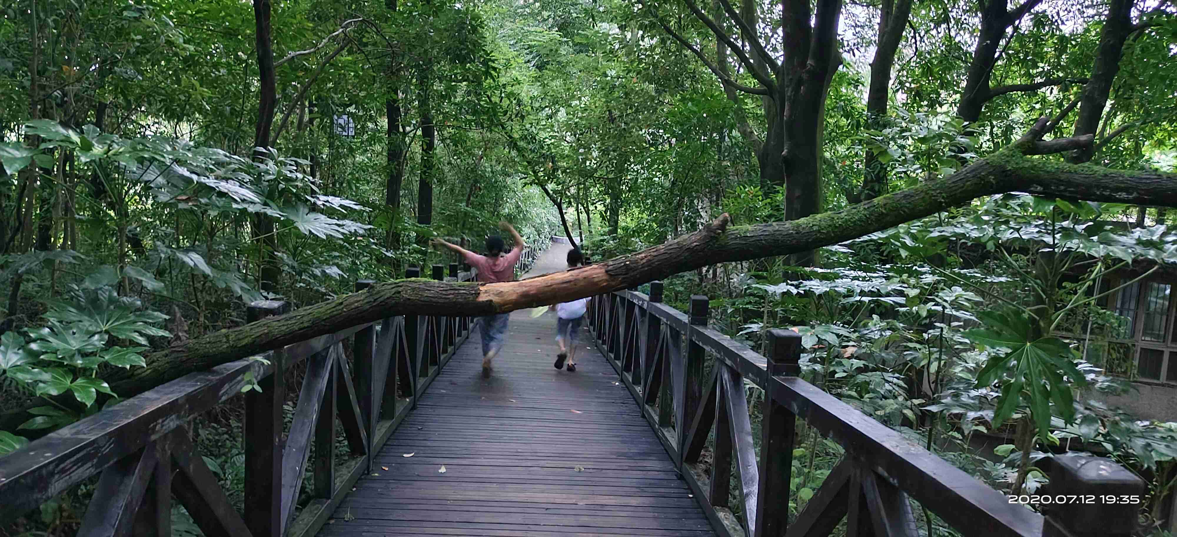 横木- vivo官方社区