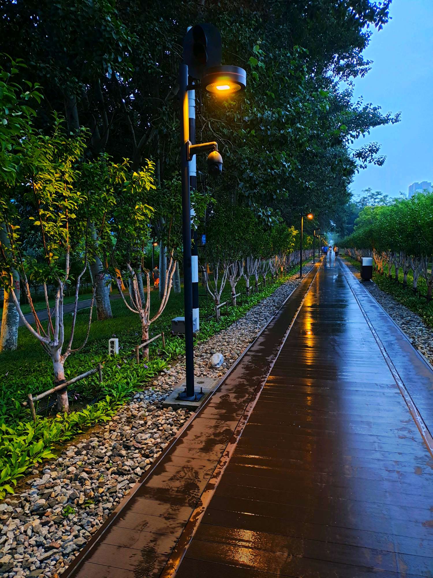 夏天的路灯 - vivo官网社区