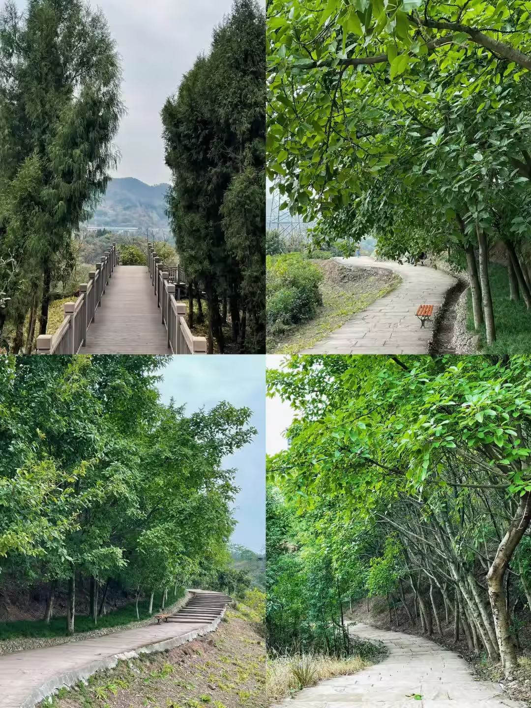 双流鹅项岭 免费、宠物友好、老少皆宜，合适遛娃