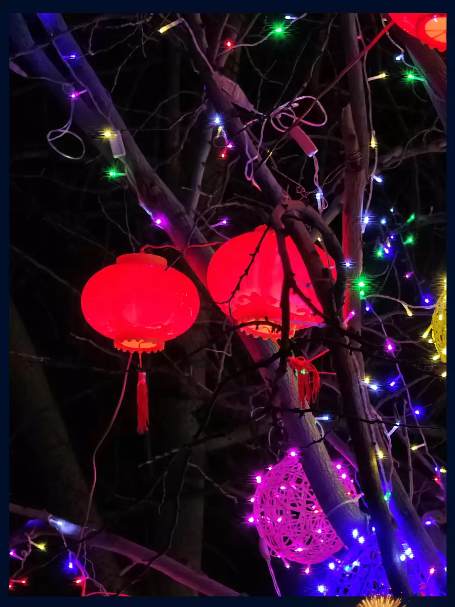 宠物洗护、洗车服务爆火 便民消费需求持续升温-5042号站