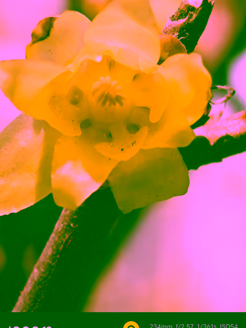 “召唤新年守护神”玩法出圈 个性化送礼成新潮流-5042号站