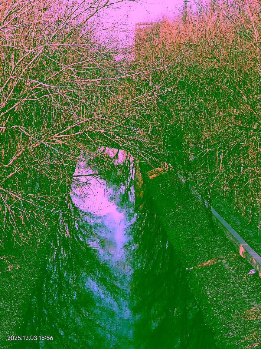 周杰伦王俊凯抖音同框开黑 峡谷告白名场面霸屏热搜-5042号站