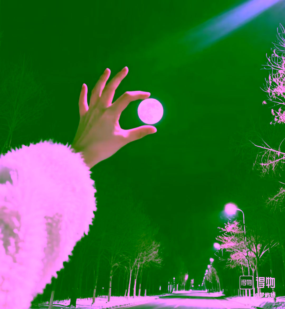 Test Test